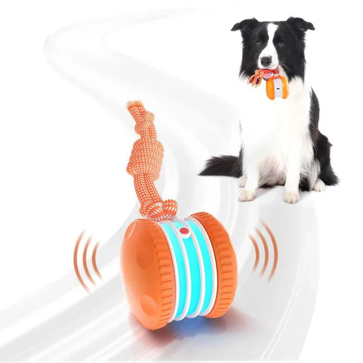 Final 3 hours 50% off🔥 🐶 Smart Pet Ball – Your Pet’s New Favorite Interactive Toy 🐱