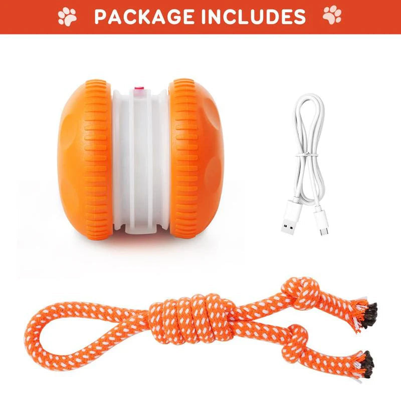 Final 3 hours 50% off🔥 🐶 Smart Pet Ball – Your Pet’s New Favorite Interactive Toy 🐱