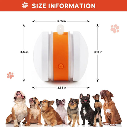 Final 3 hours 50% off🔥 🐶 Smart Pet Ball – Your Pet’s New Favorite Interactive Toy 🐱
