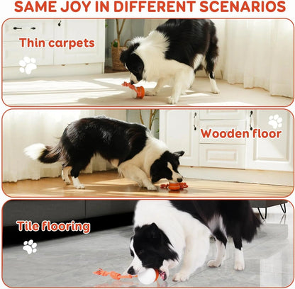 Final 3 hours 50% off🔥 🐶 Smart Pet Ball – Your Pet’s New Favorite Interactive Toy 🐱